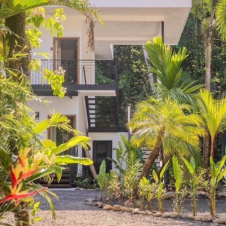 Ojochal Gardens Aparthotel Luaran gambar